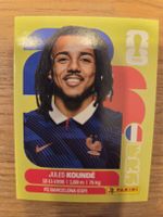 Panini Sticker 2026 FRA 5