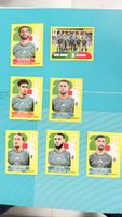Panini 2026 ALG
