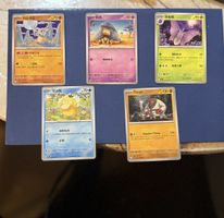 Pokemon Karten Set, verschidene, Top Zustand, Winterdeal!