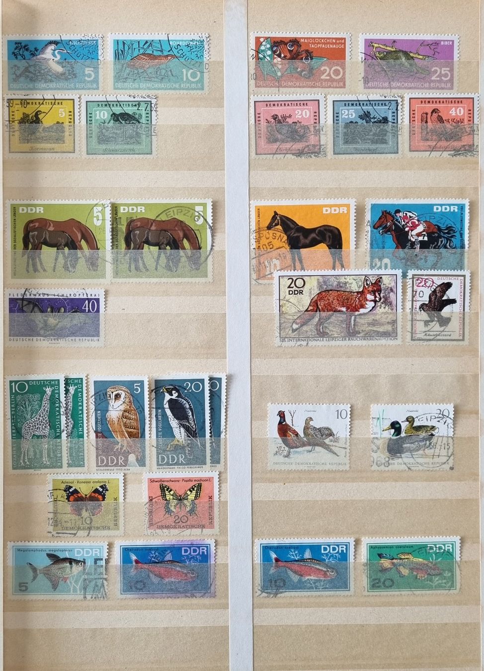 Tutti i francobolli: DDR Briefmarken Sammlung im Album – Usato da Thun venduto da yvonne.95 6