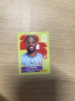 Panini FIFA WC SUI 3