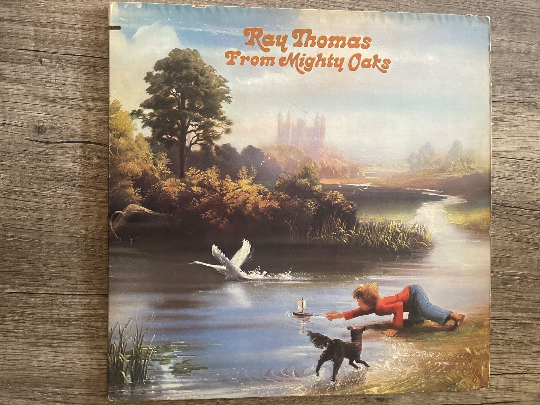 Dischi in vinile: A825/Ray Thomas From Mighty Oaks – Usato da Frutigen venduto da Philippe_jsp