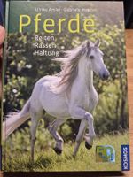 Pferde-Buch: Reiten, Rassen & Haltung – Top Zustand!