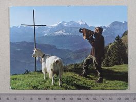 Betruf, Wetterhorngruppe, Ziege, Foto Reinhard, Sachseln