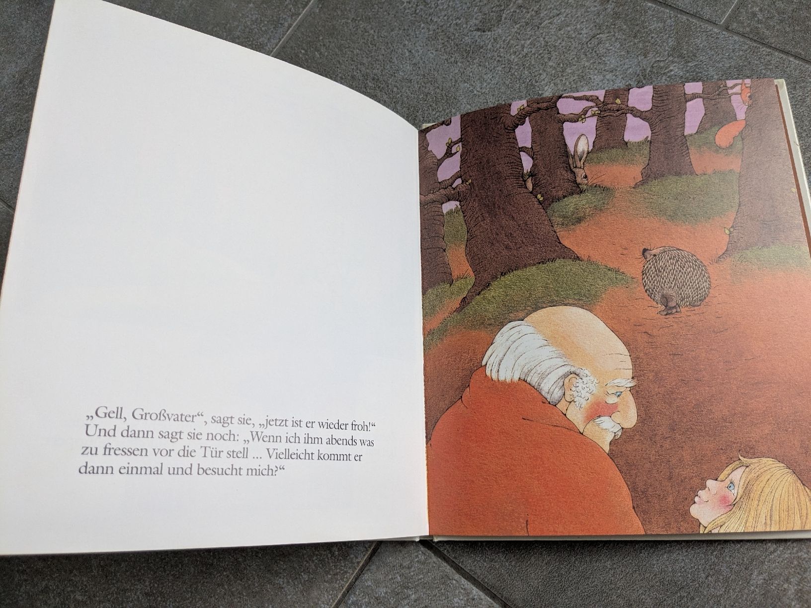 Libri: "Komm, Igel, komm" - Sara Ball – Usato da Wohlen AG venduto da merkur0300 4