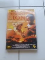 L'Enfant Lion DVD Club Junior Patrick Grandperret film