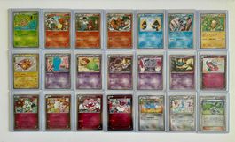 Big Pokekyun Collection 21 cards all protected / ULTRA RARE