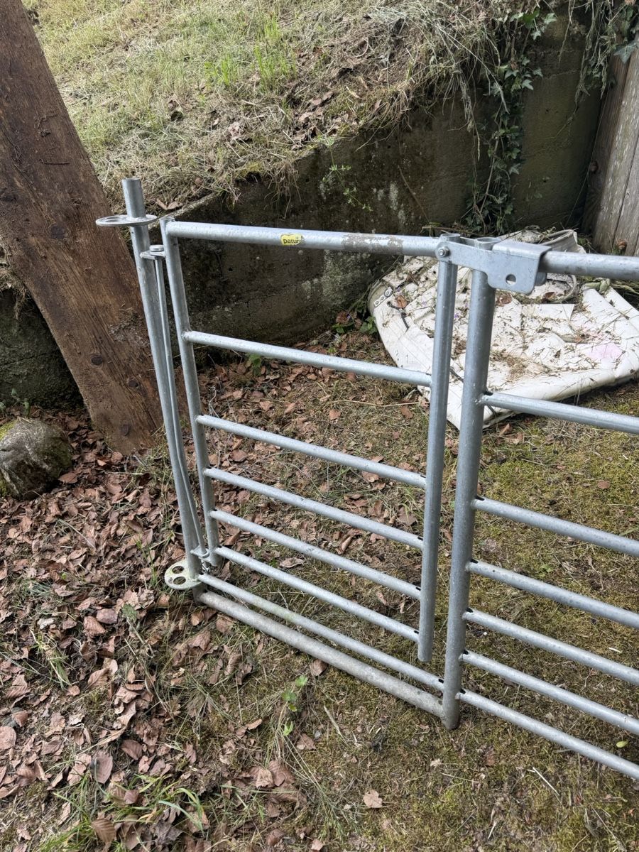 Altre attrezzature per stalle: Weidetor Metall verzinkt – Usato da Hedingen venduto da Apriah 1
