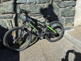 Totem E-Bike Grösse M/L