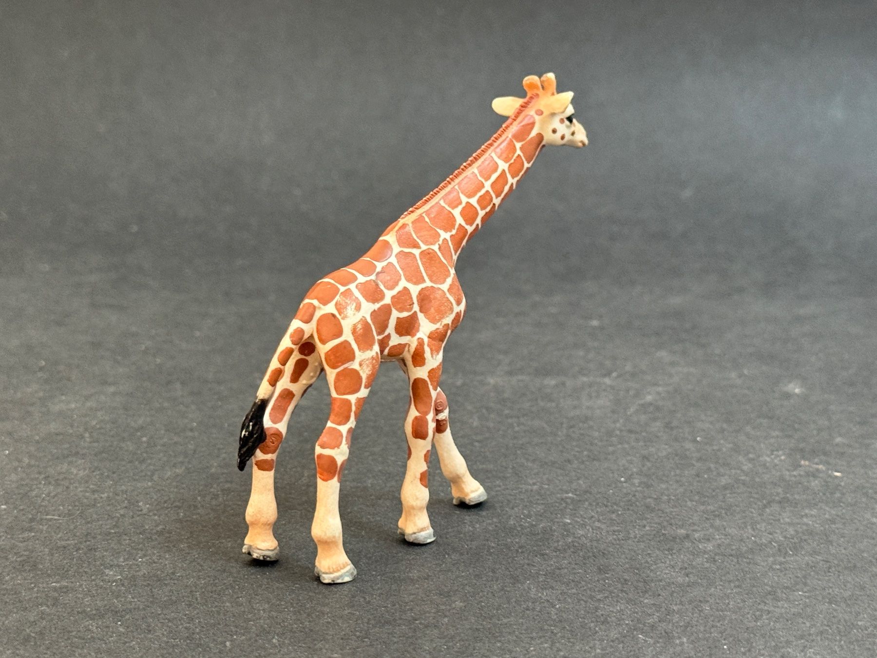 Schleich Statuette: Schleich Giraffe Giraffenbaby – Usato da Ennetbaden venduto da mapa05 3