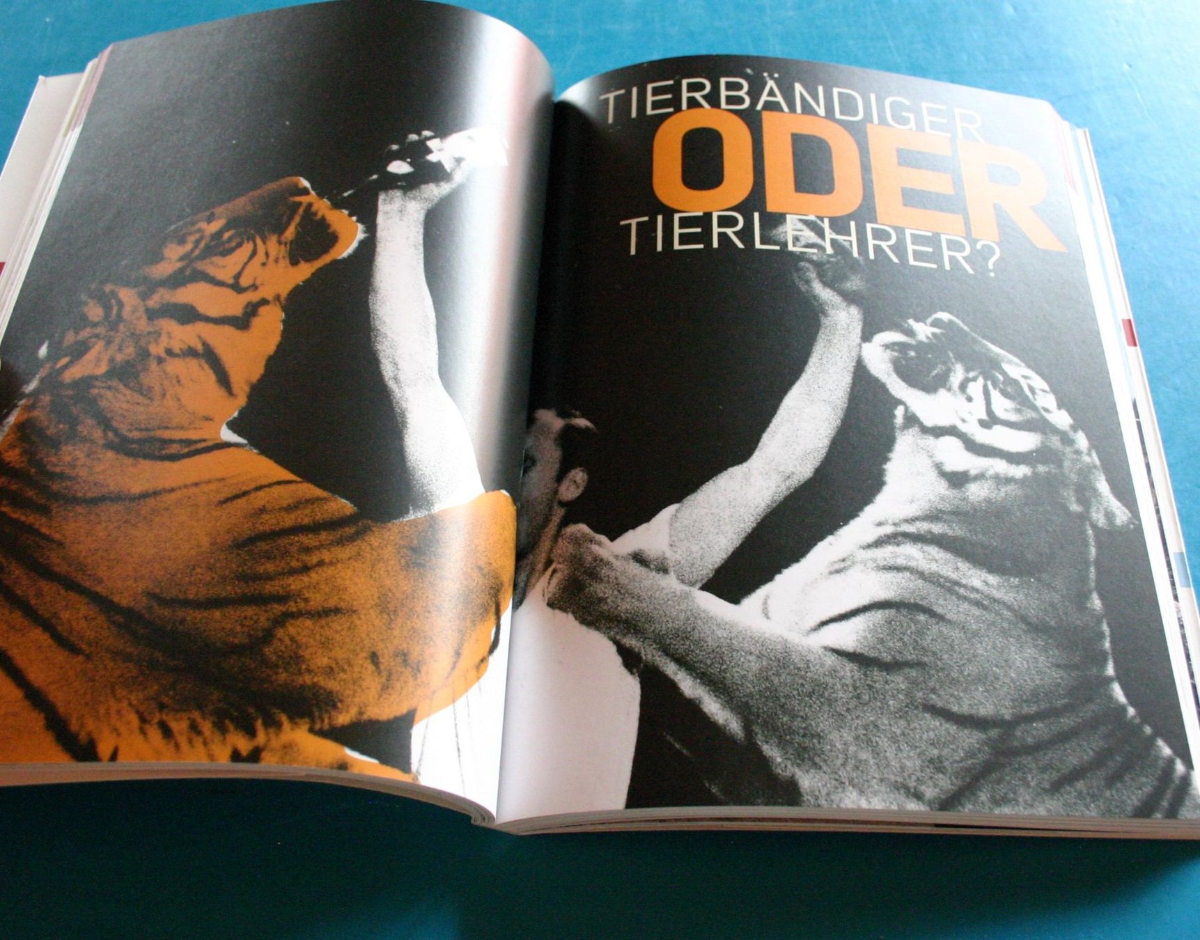 Libri: Zirkus Circus Mit Sandry nach Schweden – Usato da Winkel venduto da franzxaver60 1
