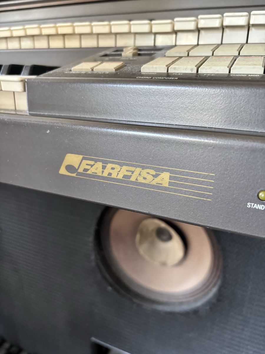 Strumenti musicali: Vintage Farfisa Organ – Usato da Bern venduto da ptn01 1