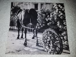 Original Foto: Pferd am Karneval in Nizza,  Fernand Rausser