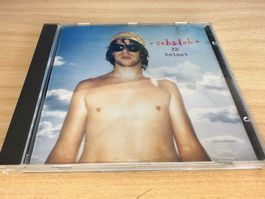 Sebadoh – Rocking The Forest / Sebadoh Vs. Helmet