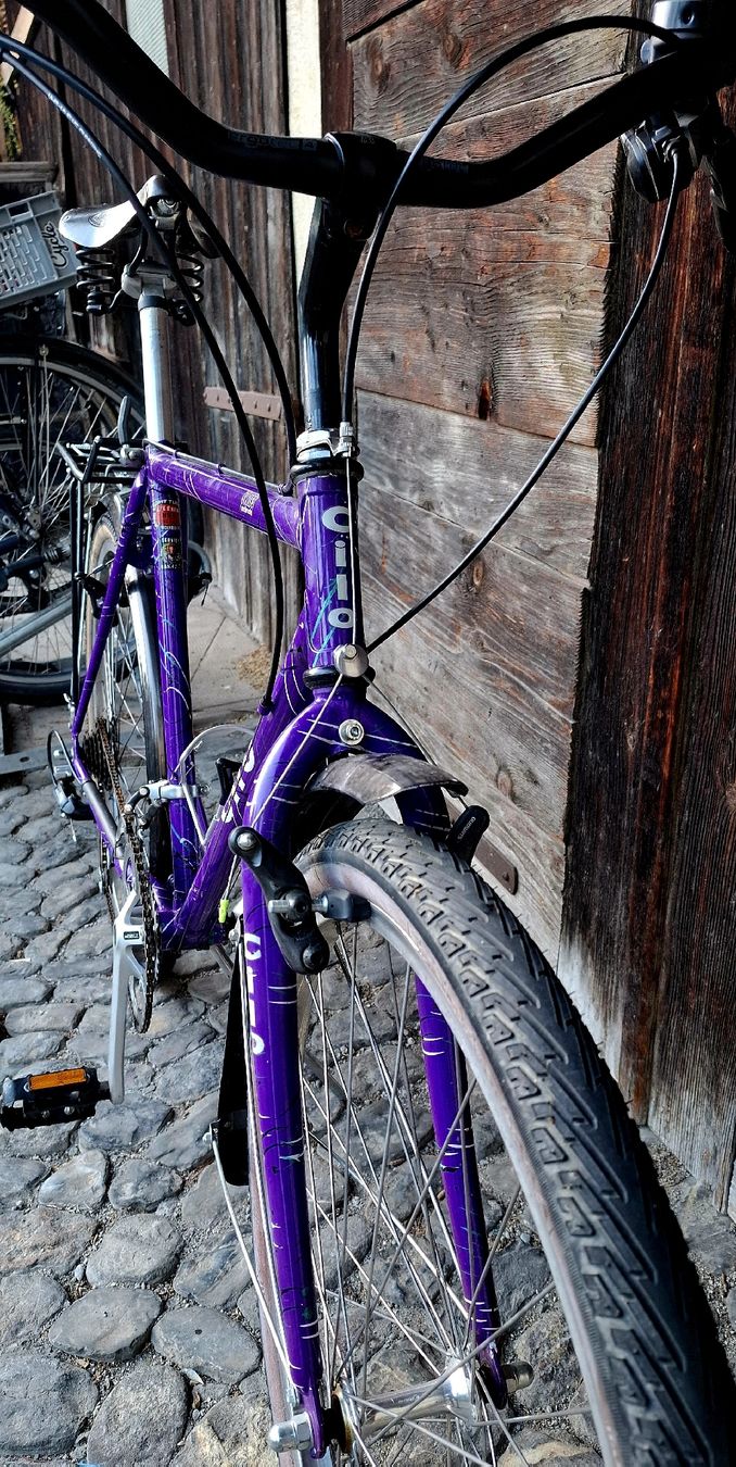 Cilo Biciclette: Violet CILO Gr M – Usato da Adliswil venduto da trujillo01 3