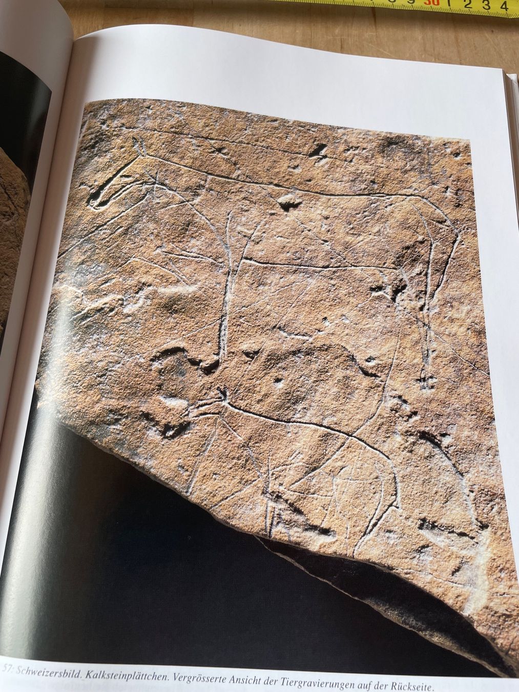 Libri: Schweizersbild - ein Jägerlager der Späteiszeit - Top! – Usato da Sent venduto da ManuelB07 5
