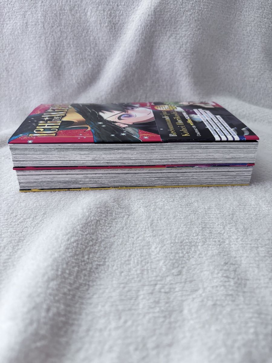 Comics: Ichi the witch tome 1-2 – Gebraucht aus Lavigny von mah_b9wz 2