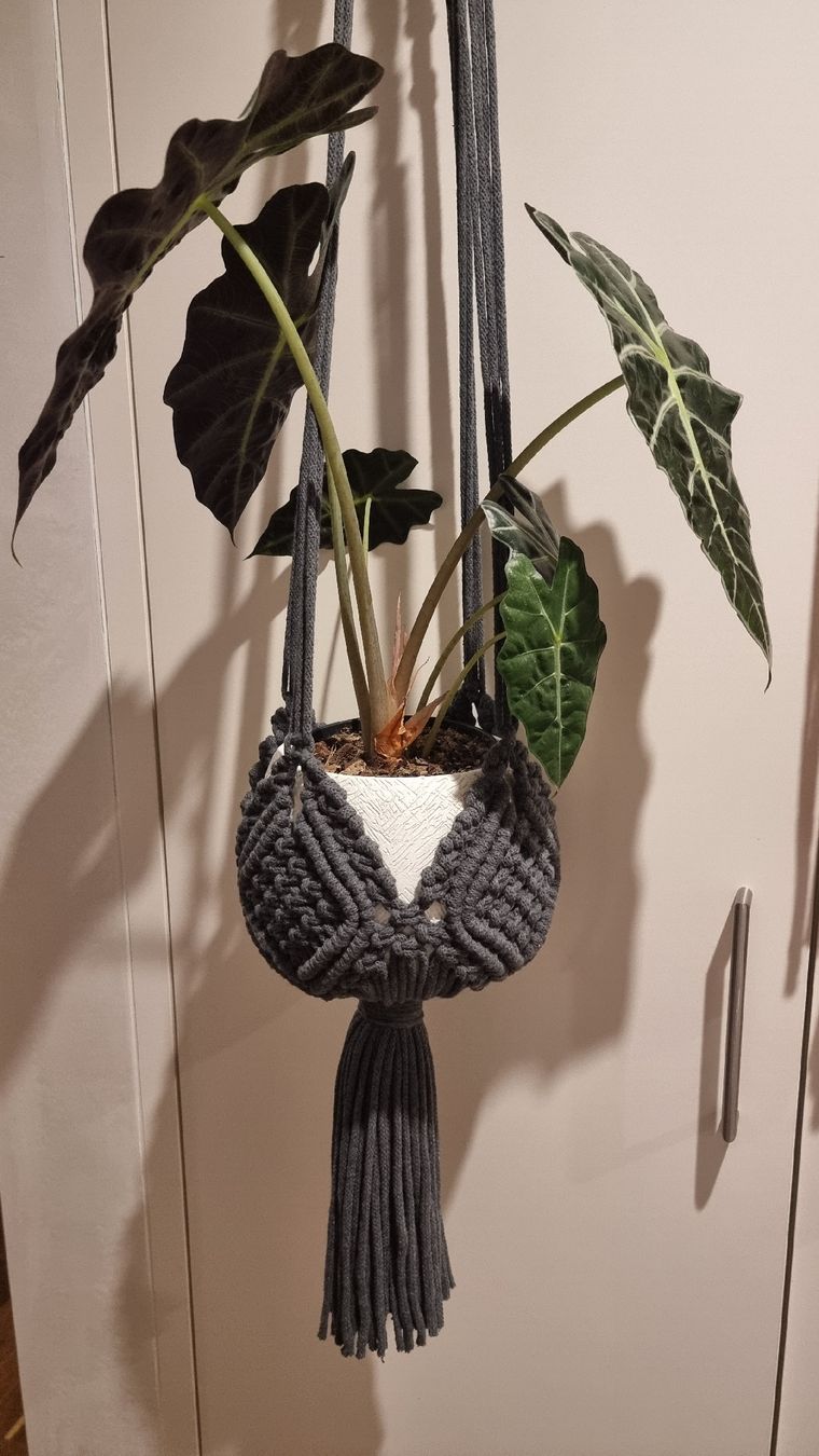 Tutte le decorazioni: Makramme handgeknüpfte Blumenampel  – Nuovo e nell'imballaggio originale da Balgach venduto da Patty04 2