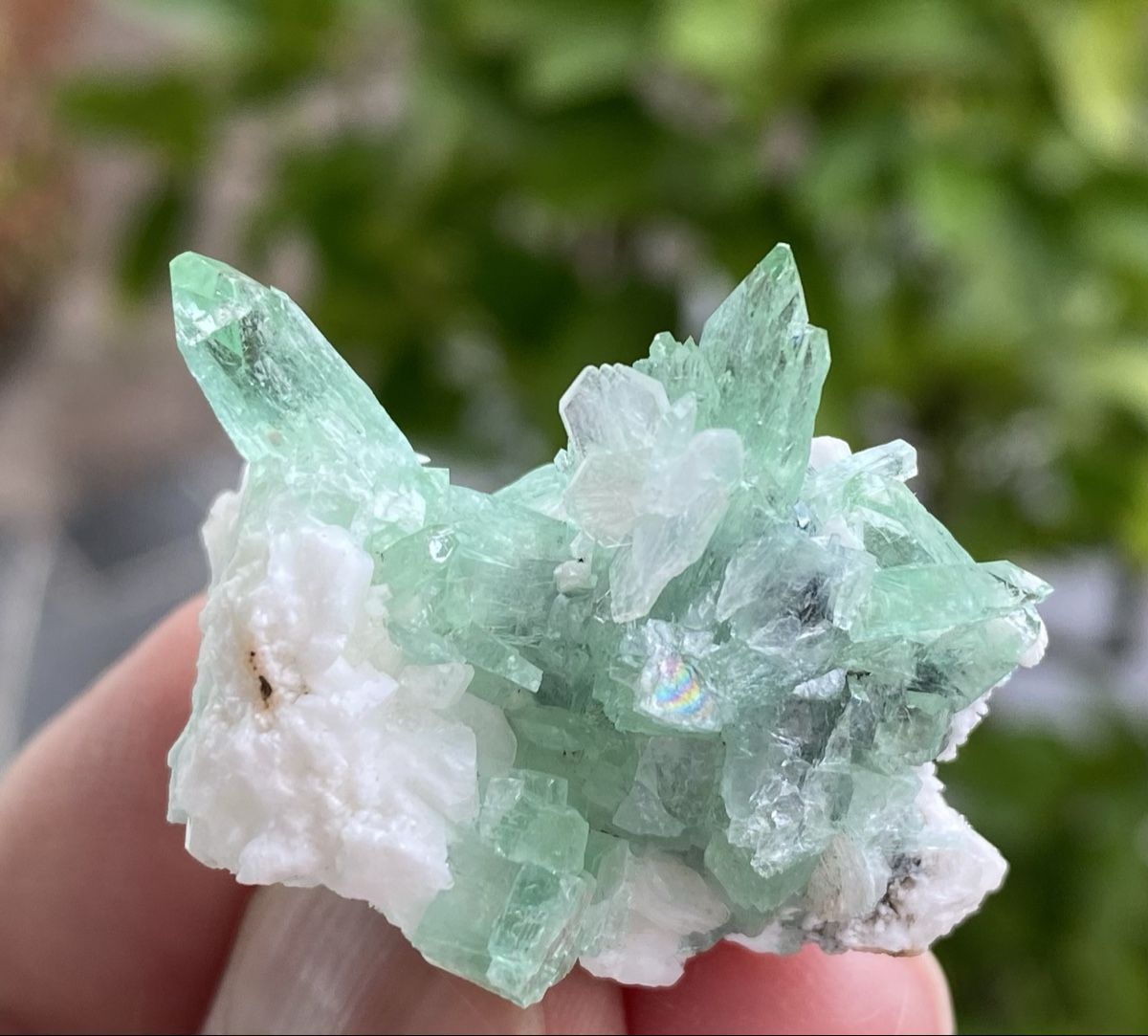 Mineralien & Heilsteine: Wunderschöne Apophyllit Stufe Indien  – Gebraucht aus Selzach von 321compac 7