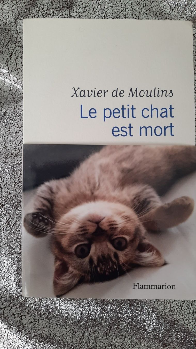 Libri: 100% CHATS – Usato da Lausanne venduto da BrigitteAnne 5