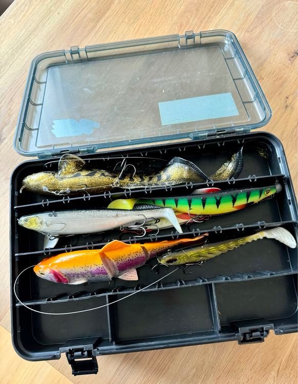 Köder: 32 Hecht–Köder (Schleppfischen) inkl. Versus Box – Gebraucht aus Estavayer-le-Lac von  5