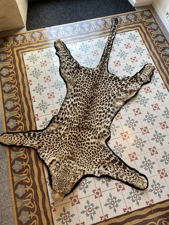 Skin rug leopard | Kaufen auf Ricardo