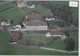 Flugaufnahme Kloster Frauenthal