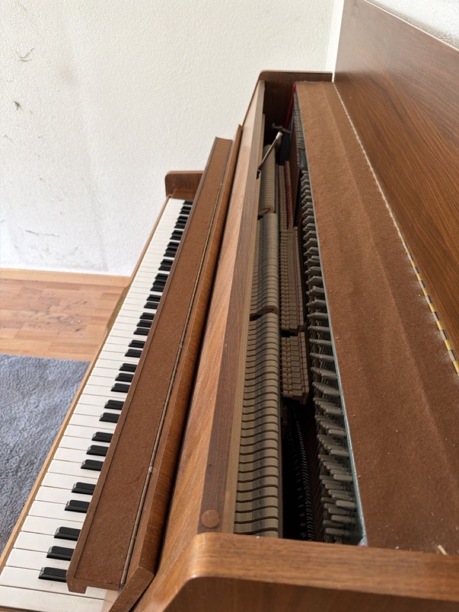 Cardinal Musikinstrumente: Klavier Cardinal – Gebraucht aus Horw von Barbara72 1