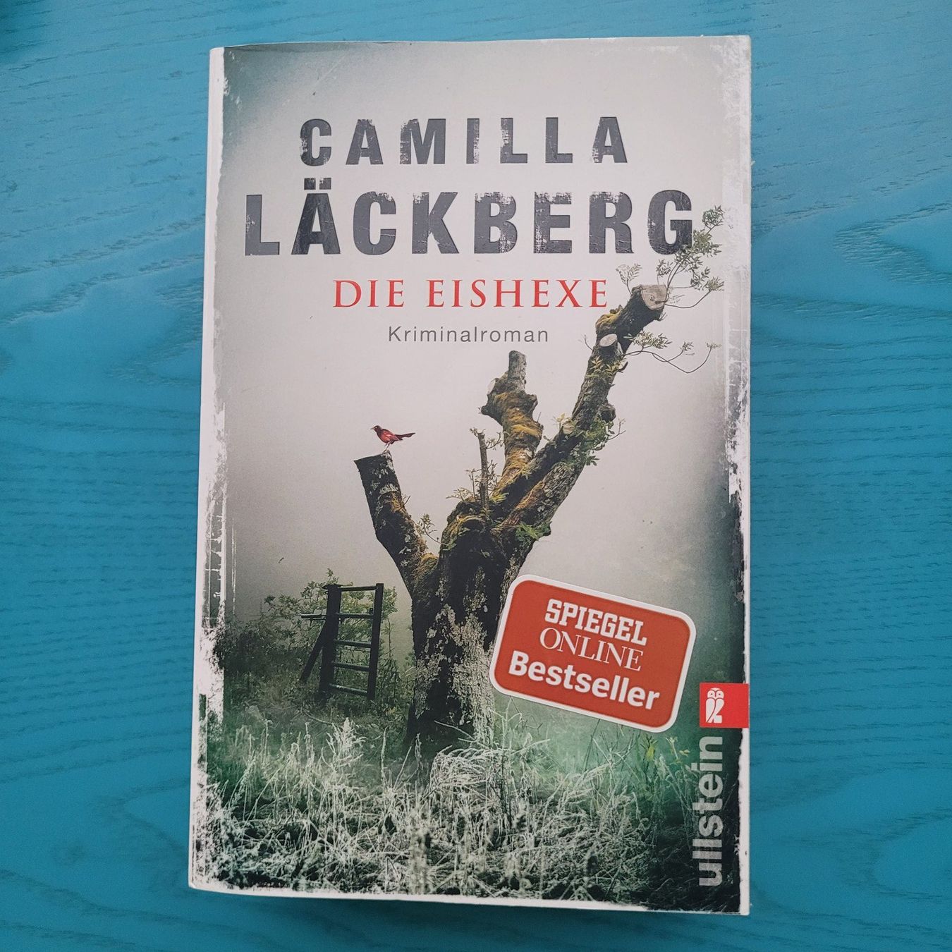 Libri: Camilla  Läckberg- Die Eishexe – Usato da SCHÜBELBACH venduto da CoKaHa