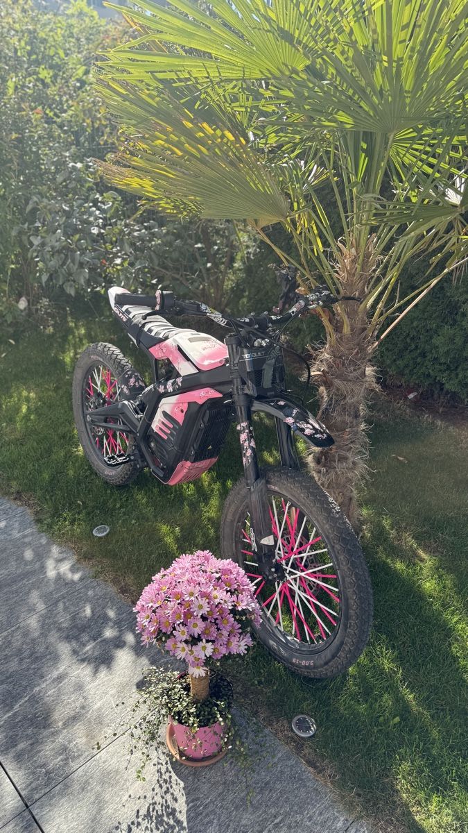 SWM Enduro: Swm Binsen E-Moto – D'occasion à Arnegg par david_k19 3