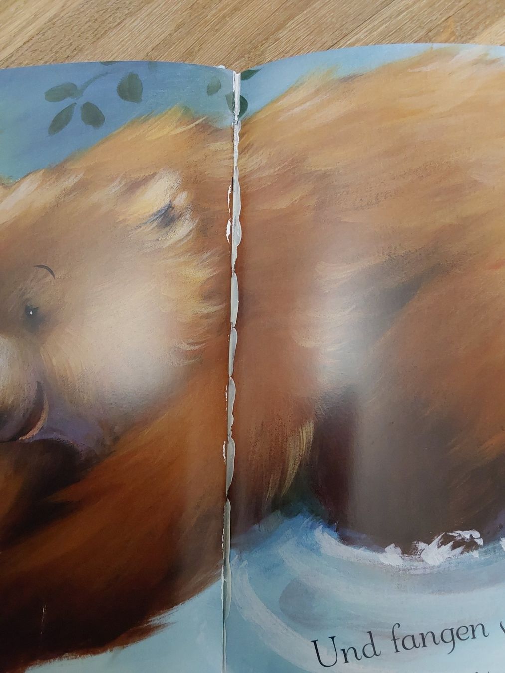 Bücher: Kinder Bücher – Gebraucht aus Wallisellen von Wallisellen77 9