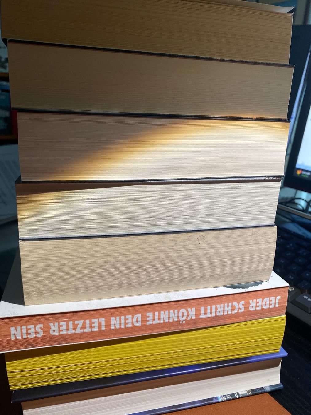 Bücher: Spannende Thriller Sammlung - 8 Bücher – Gebraucht aus Erlinsbach SO von Silverstorm 3