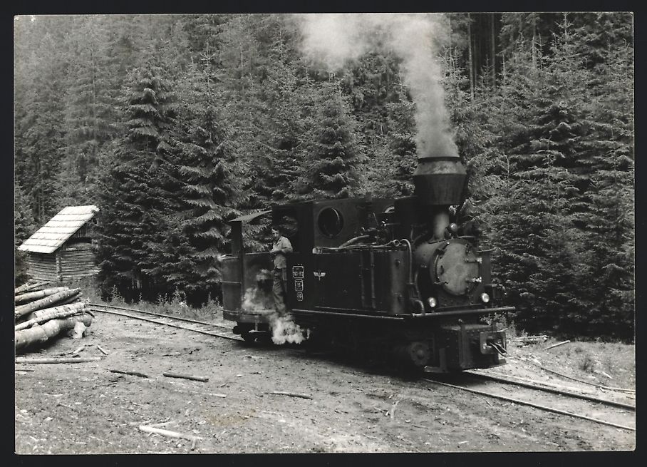 Fotografie & Manifesti: 35 Fotografien Eisenbahn, Kleinbahn / Sc – Usato da Berlin venduto da bartko-reher