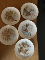 5x Vintage Porzellanteller mit Jagdmotiven