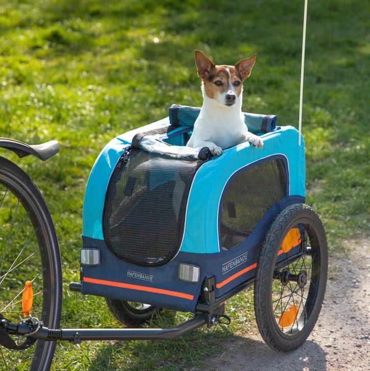 Anhänger: Kleiner Hunde- oder Lastenanhänger für Velo – Gebraucht aus Winterthur von