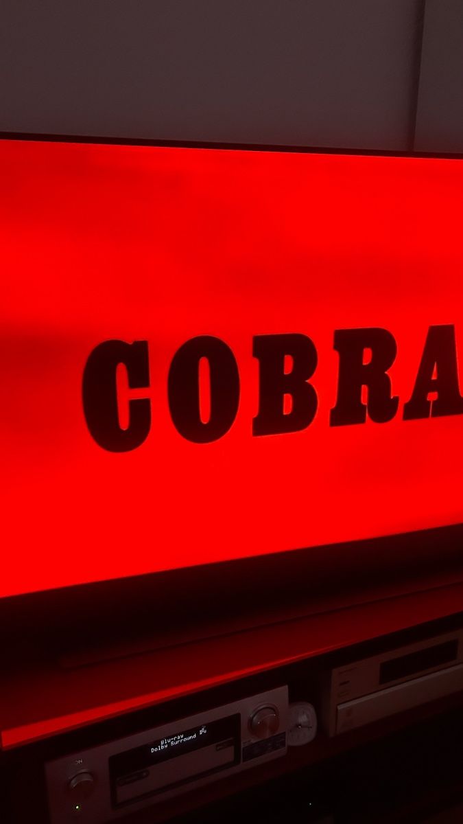 Alle DVDs: Die City Cobra - Stallone (Uncut) – Gebraucht aus Lugano von bad_2t9b 2