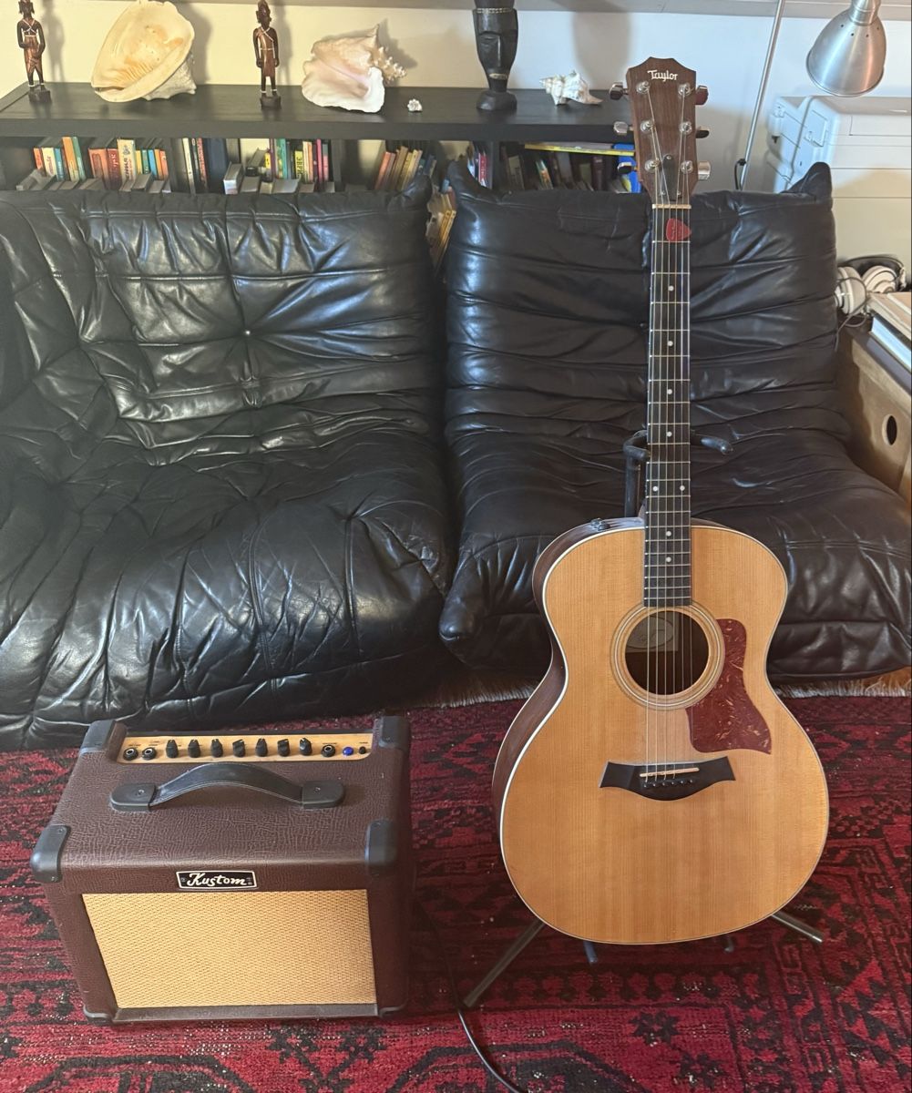 Taylor Strumenti musicali: Taylor 214e guitar + Sienna 16Pro amplifier  – Usato da Veyrier venduto da Elenevskiy