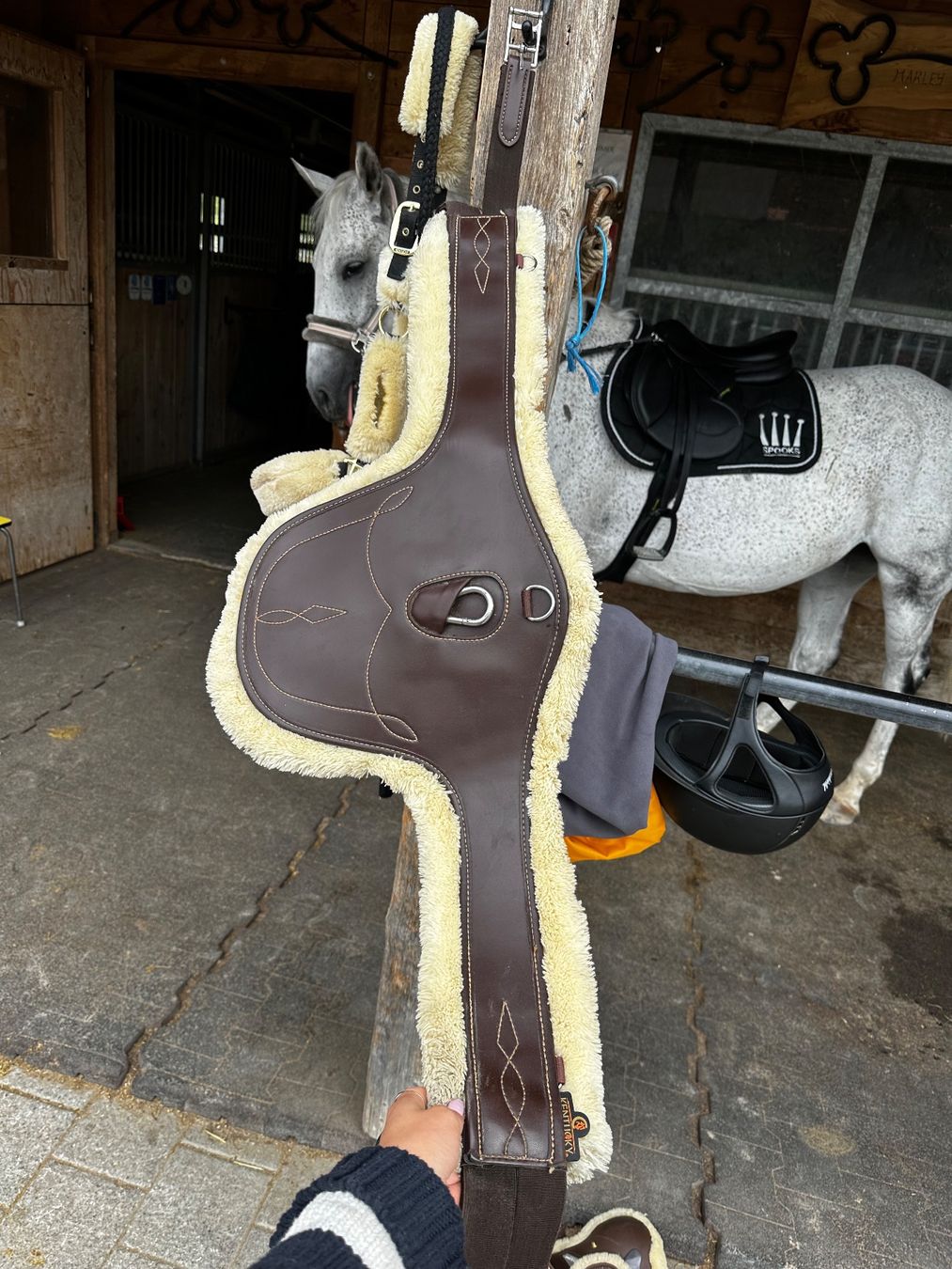 Selle & Accessori: Kentucky Stollenschutzgurt – Usato da Steinhausen venduto da nor_856c 2