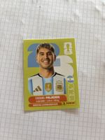 Panini ARG11