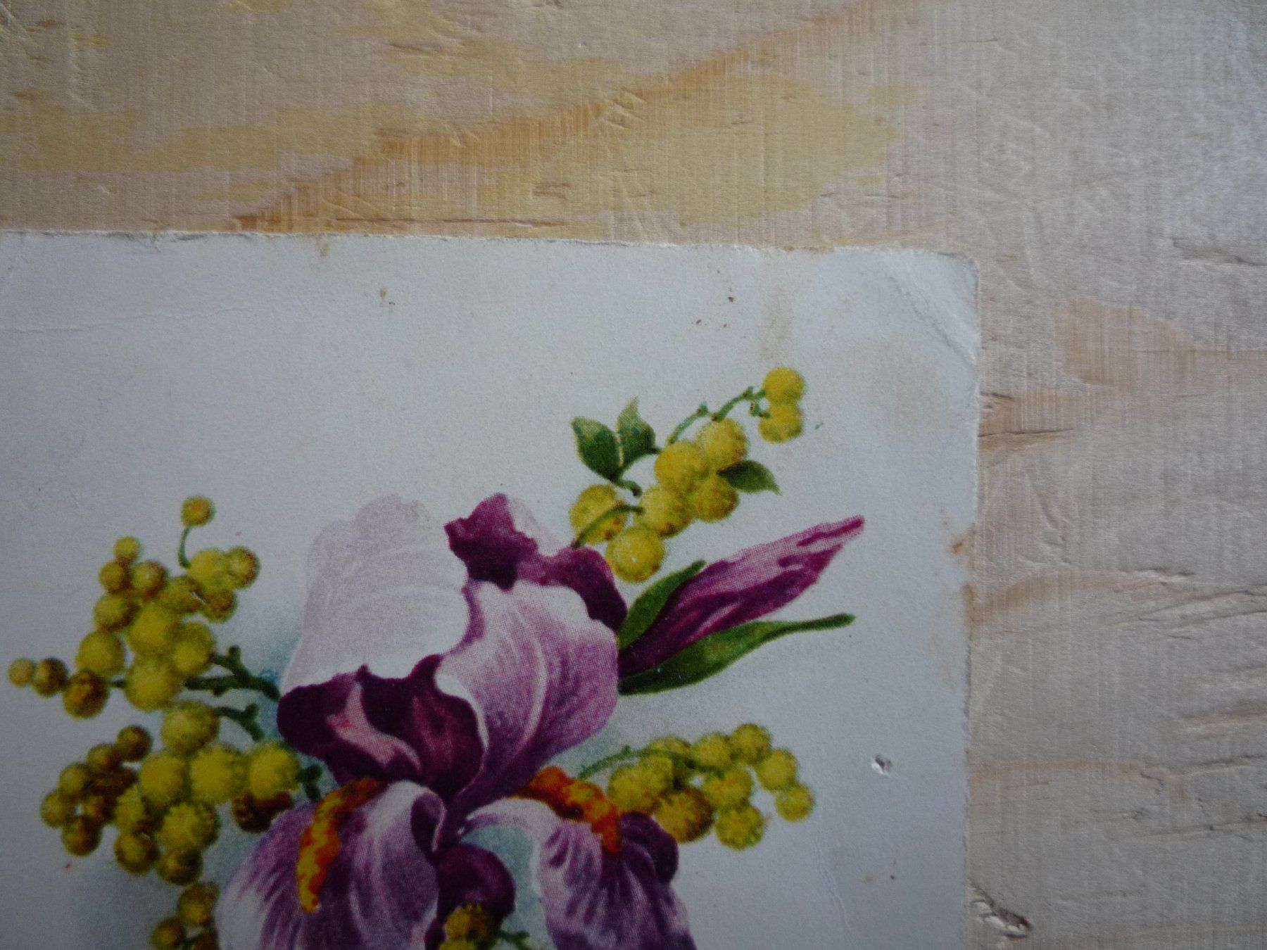 Cartoline postali: Blume mit Bibelspruch, 3.XII.30 – Usato da Rieden SG venduto da Brockehuesli 1