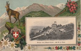 Hörnli Kulm Prägekarte