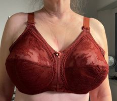BH TRIUMPH 100D bordeau soutien-gorge reggiseno bra (Nr 252)