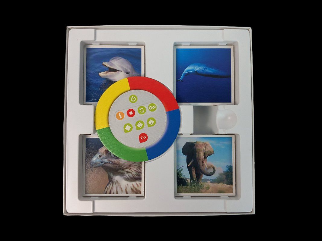 Tiptoi Giochi: RAVENSBURGER TIPTOI Memory Rekorde im Tierreich – Usato da Hünenberg venduto da Restwert_Zug 6