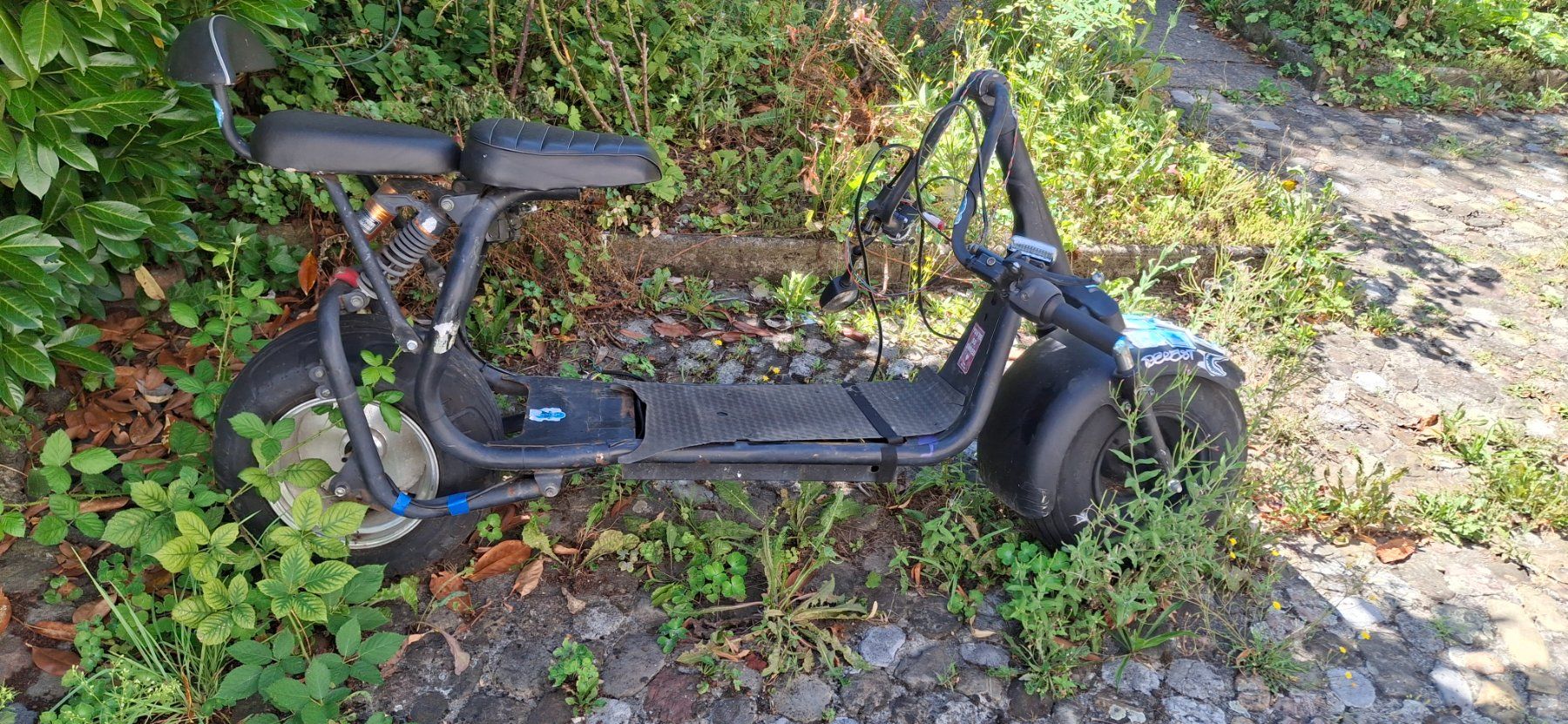 Citycoco Scooters: City Coco E Scooter – Defekt aus Kyburg von JBMNT2020 2