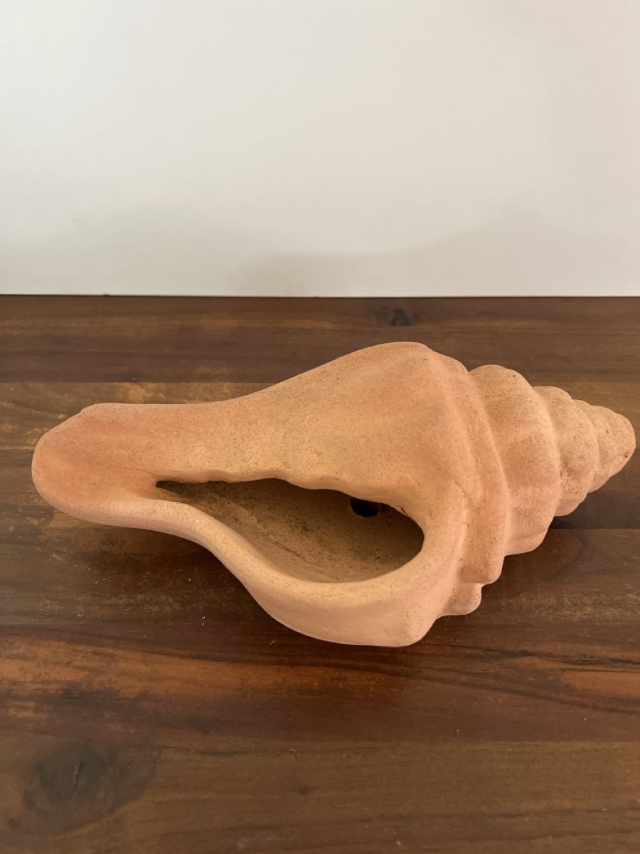 Vasi per fiori: Deko Muschel Terracotta, Blumentopf – Usato da Altdorf UR venduto da JanAil 1