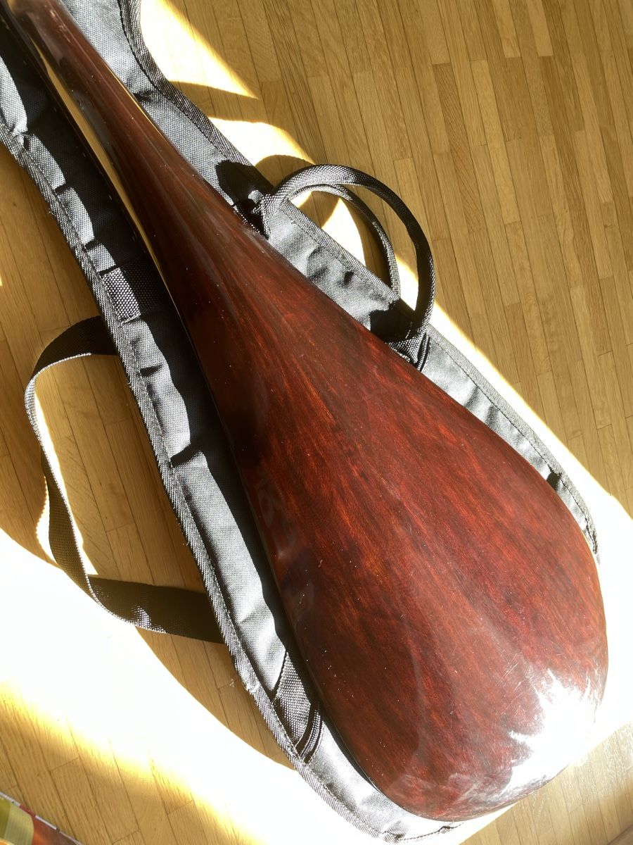 Musikinstrumente: Chinesische Gitarre – Gebraucht aus Tägerwilen von Shaimaa 3