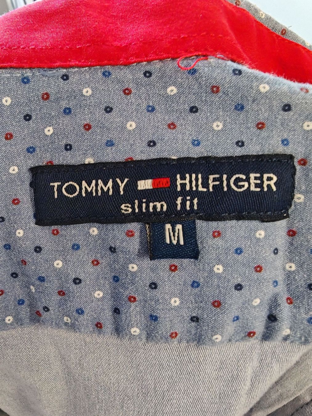 Tommy Hilfiger Camicette: Chemise Tommy Hilfiger bleue M – Usato da Bex venduto da sni_q7lh 4
