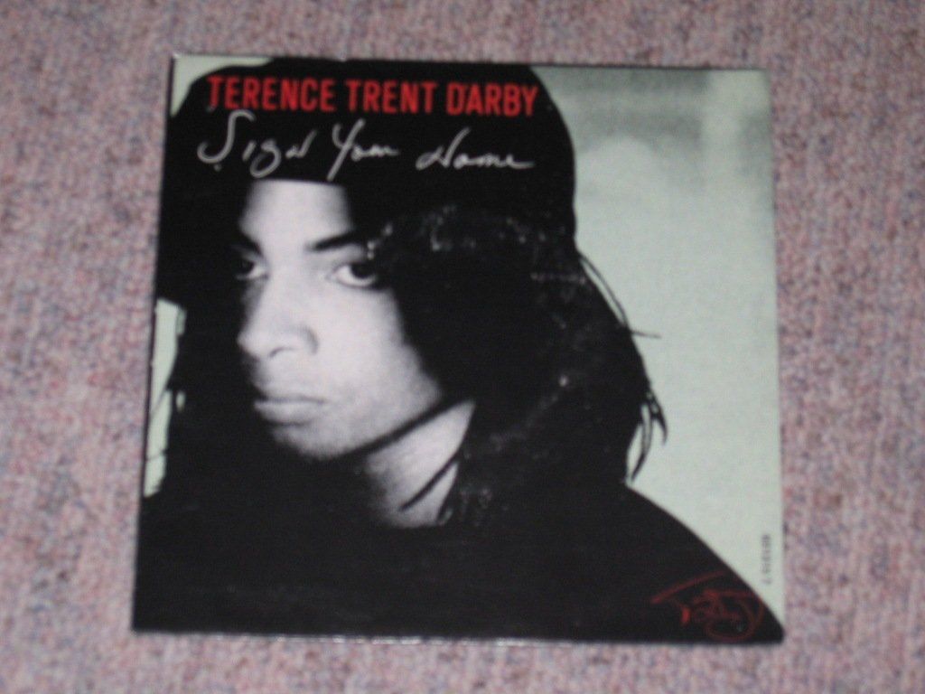 Dischi in vinile: TERENCE TRENT D'ARBY - SIGN YOUR NAME – Usato da Steckborn venduto da Quo7
