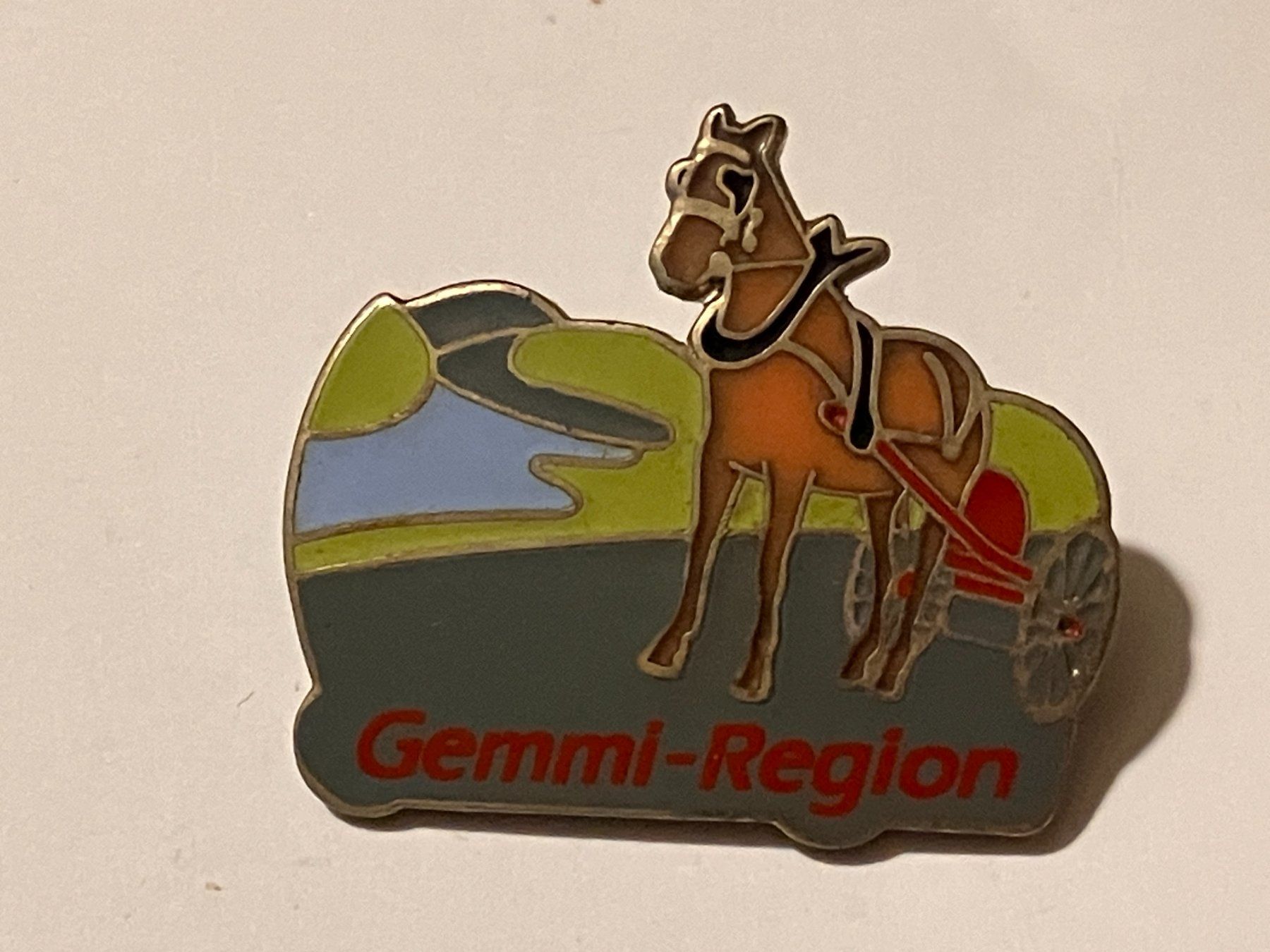 Plaketten & Abzeichen: 1 Pin Gemmi Region – Gebraucht aus Basel von djwwpp