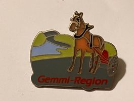 1 Pin Gemmi Region